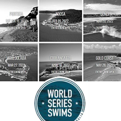 World Swim Series